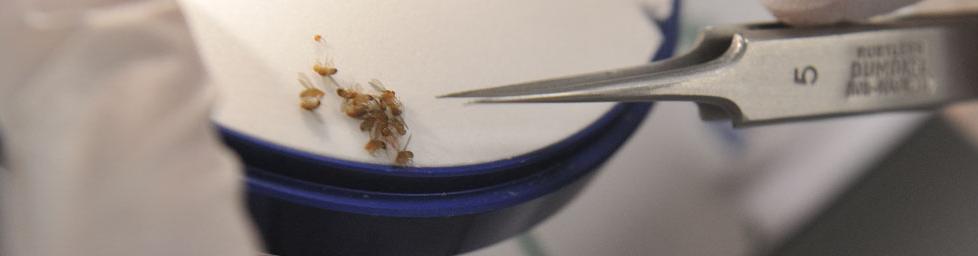 Nano-|Technologie|Laboratoire|R&D