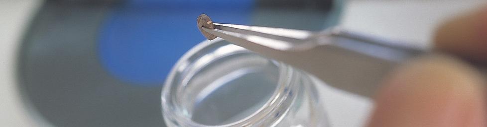 Laboratorio Investigación y Desarrollo Biologíá