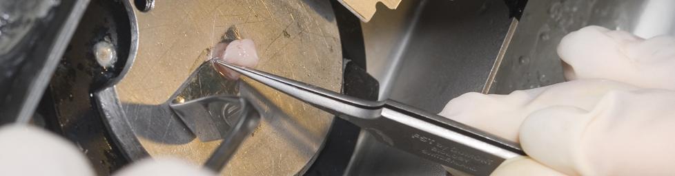 מעבדה|מחקר ופיתוח|ביולוגיה